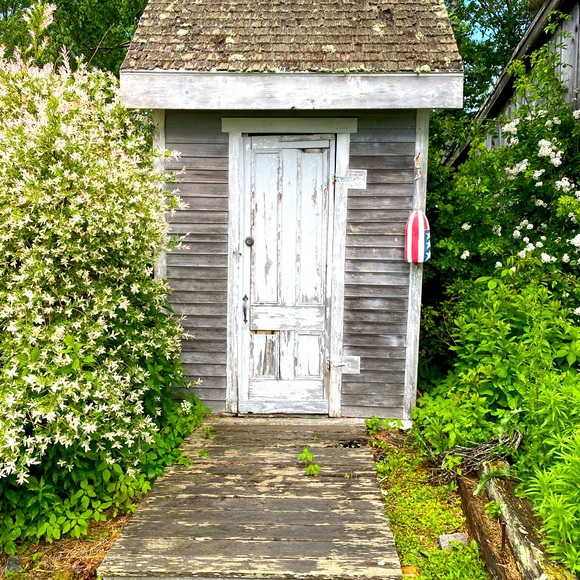 Meet your Posher, Anna - Picture 1 of 1